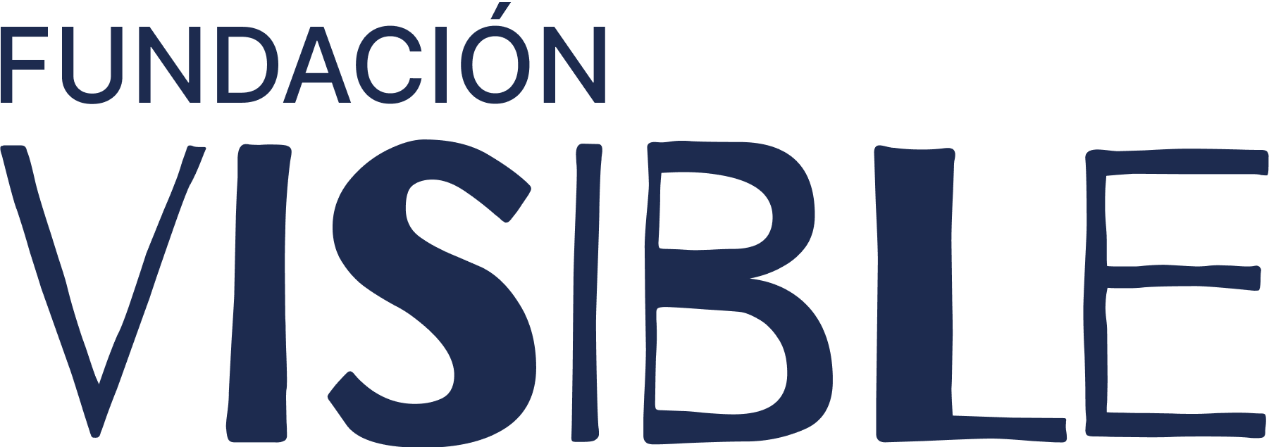 Fundacion Visible logo